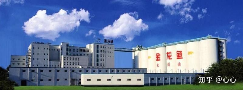 海原金龍魚屬于什么檔次（東饗尋味，金龍魚屬于什么檔次）