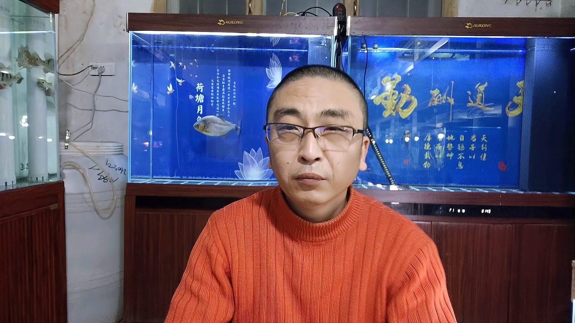 混養時如何確保水質穩定（混養魚的基本原則與注意事項）