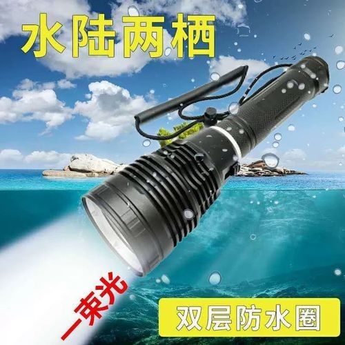 哪種類型的龍魚專用燈最好（龍魚專用燈怎么選）