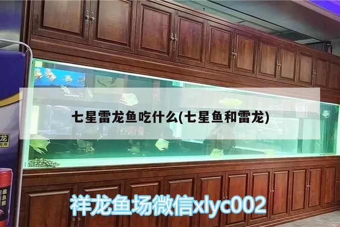 七星雷龍魚吃什么(七星魚和雷龍)（七星雷龍魚吃什么，雷龍魚吃什么）