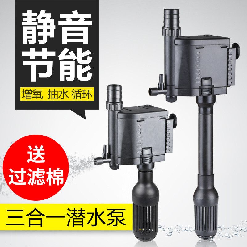 金龍魚品種圖片大全（金龍魚品種圖片大全大圖）（金龍魚品種圖片大全）