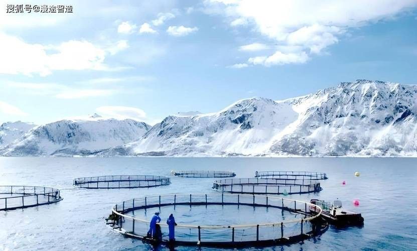 如何聯系烏魯木齊龍魚養殖基地（烏魯木齊龍魚養殖基地怎么聯系？）