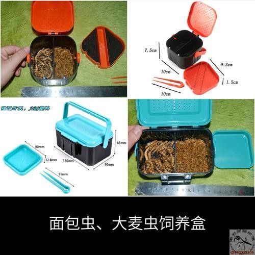 大麥蟲多久喂一次合適？（大麥蟲多久喂一次合適）