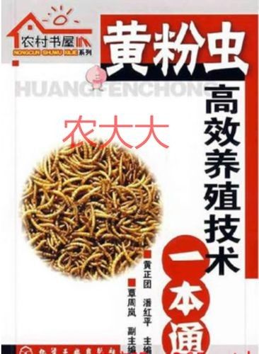 大麥蟲多久喂一次合適？（大麥蟲多久喂一次合適）