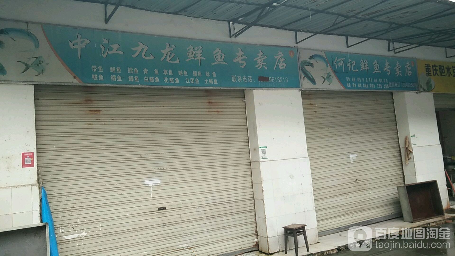 德陽龍魚市場在哪里？（<strong><mark>中江</mark></strong>九龍鮮魚專賣店德陽龍魚專賣店有龍魚賣嗎）