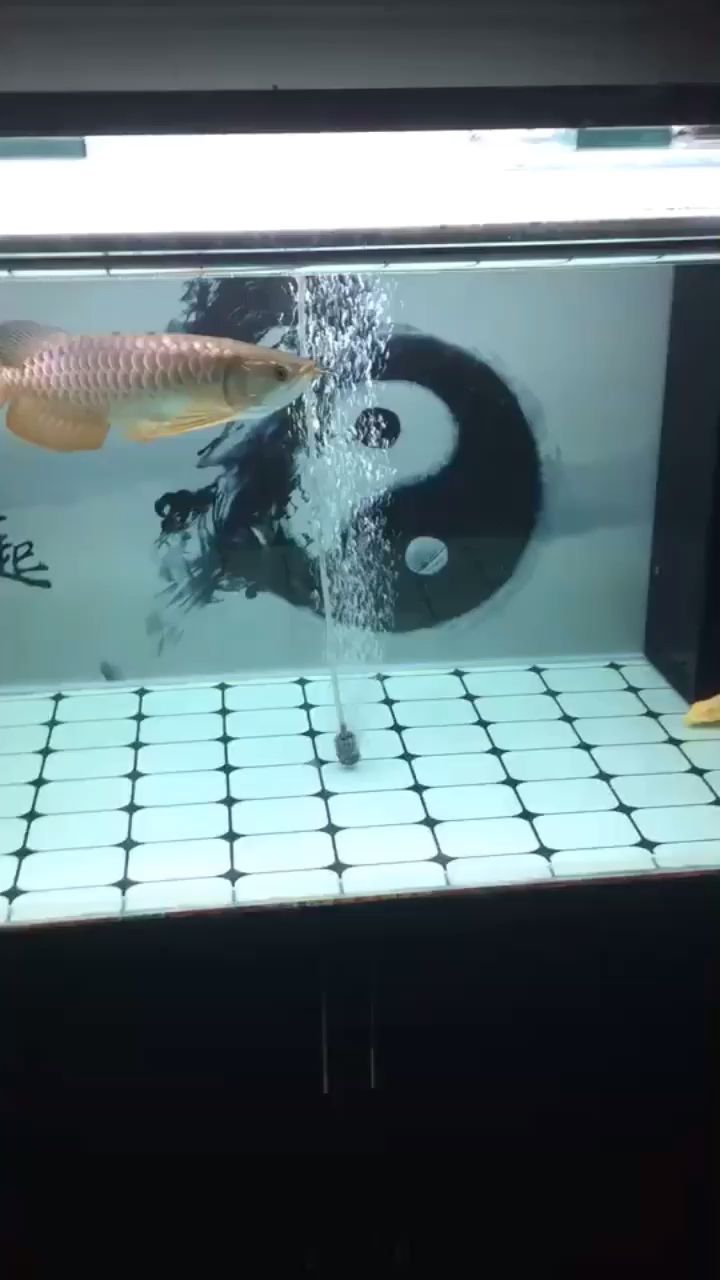 差點嗝屁！（在一個神秘的島嶼上）