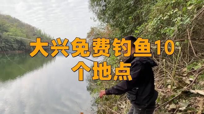 如何前往龍魚休閑垂釣中心？（北京魚休閑垂釣中心交通指南）