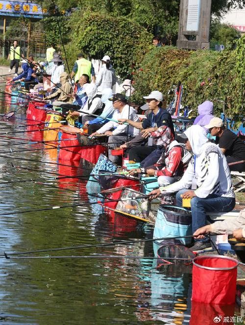如何前往龍魚休閑垂釣中心？（北京魚休閑垂釣中心交通指南）