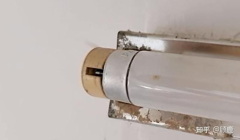 如何更換LED燈管？（led燈管安裝步驟和注意事項和注意事項） 如何更換LED燈管？（led燈管安裝步驟和注意事項和注意事項） 龍魚百科 第1張