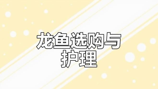 如何選擇新鮮的龍魚？（如何選擇新鮮的龍魚）