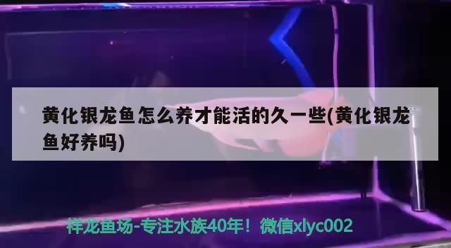 北京奧裝飾：徐州博大裝飾（北京奧裝飾與徐州博大裝飾的對比分析）
