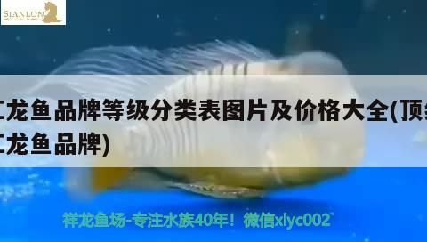 <strong><mark>北京</mark></strong>奧裝飾：徐州博大裝飾（<strong><mark>北京</mark></strong>奧裝飾與徐州博大裝飾的對比分析）