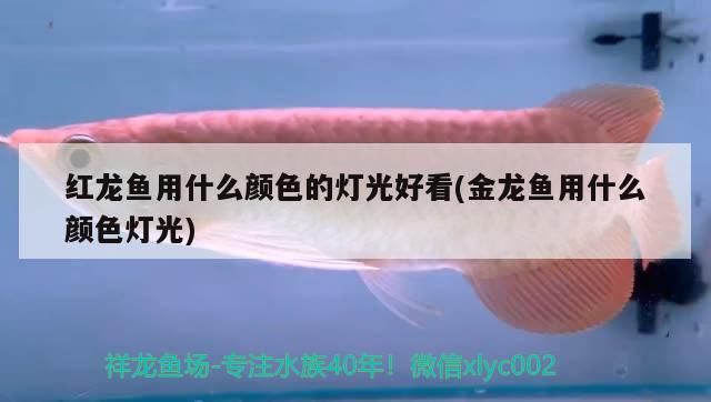北京奧裝飾：徐州博大裝飾（北京奧裝飾與徐州博大裝飾的對比分析）