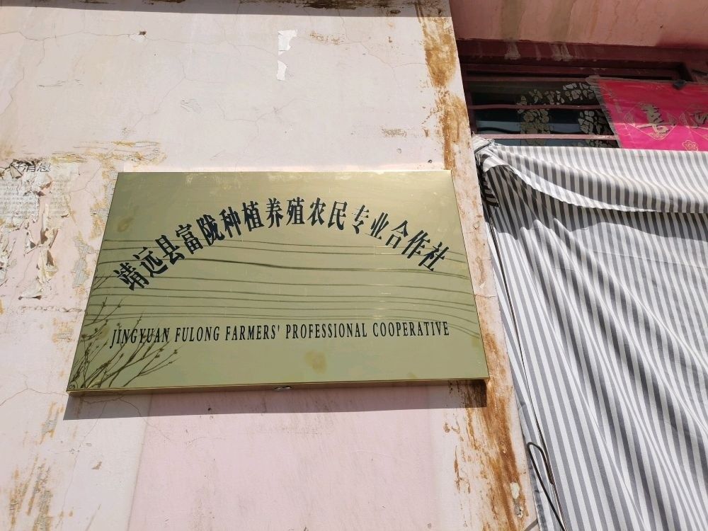 靖遠龍魚（甘肅省白銀市靖遠縣靖遠龍魚養殖技術）