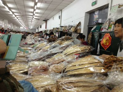 成都龍魚批發市場在哪里（成都小龍蝦批發市場在哪里）