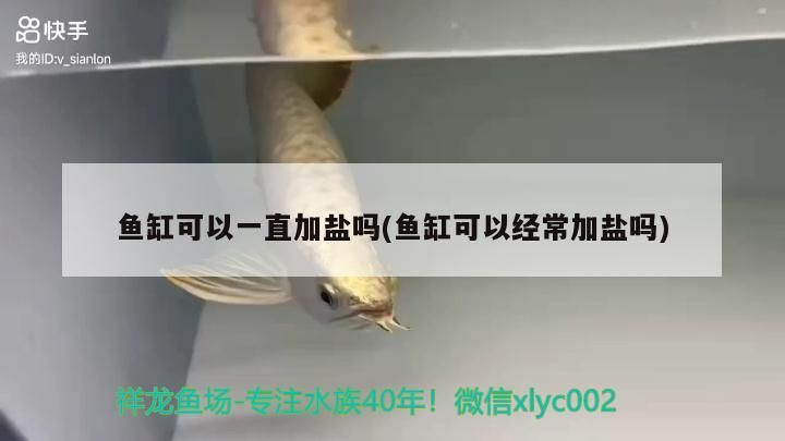 魚缸可以一直加鹽嗎(魚缸可以經常加鹽嗎)（祥龍魚場：魚缸可以一直加鹽嗎，魚缸可以一直加鹽嗎）