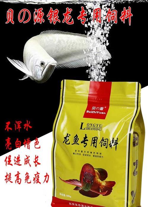 小店龍魚屬于什么檔次（小店龍魚大概多少錢一條易車網聽小店龍魚有哪些稀有品種）