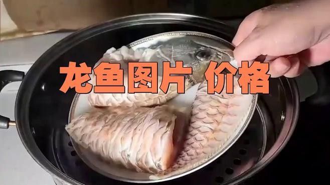 小店龍魚屬于什么檔次（小店龍魚大概多少錢一條易車網聽小店龍魚有哪些稀有品種）