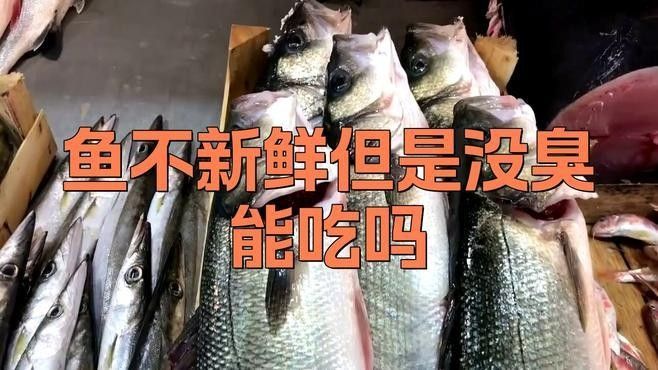 龍魚冷凍后如何判斷是否變質（如何判斷龍魚是否變質）