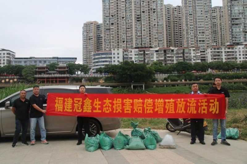 龍魚放野計(jì)劃對(duì)生態(tài)有何影響？（魚放野計(jì)劃對(duì)生態(tài)環(huán)境的影響）