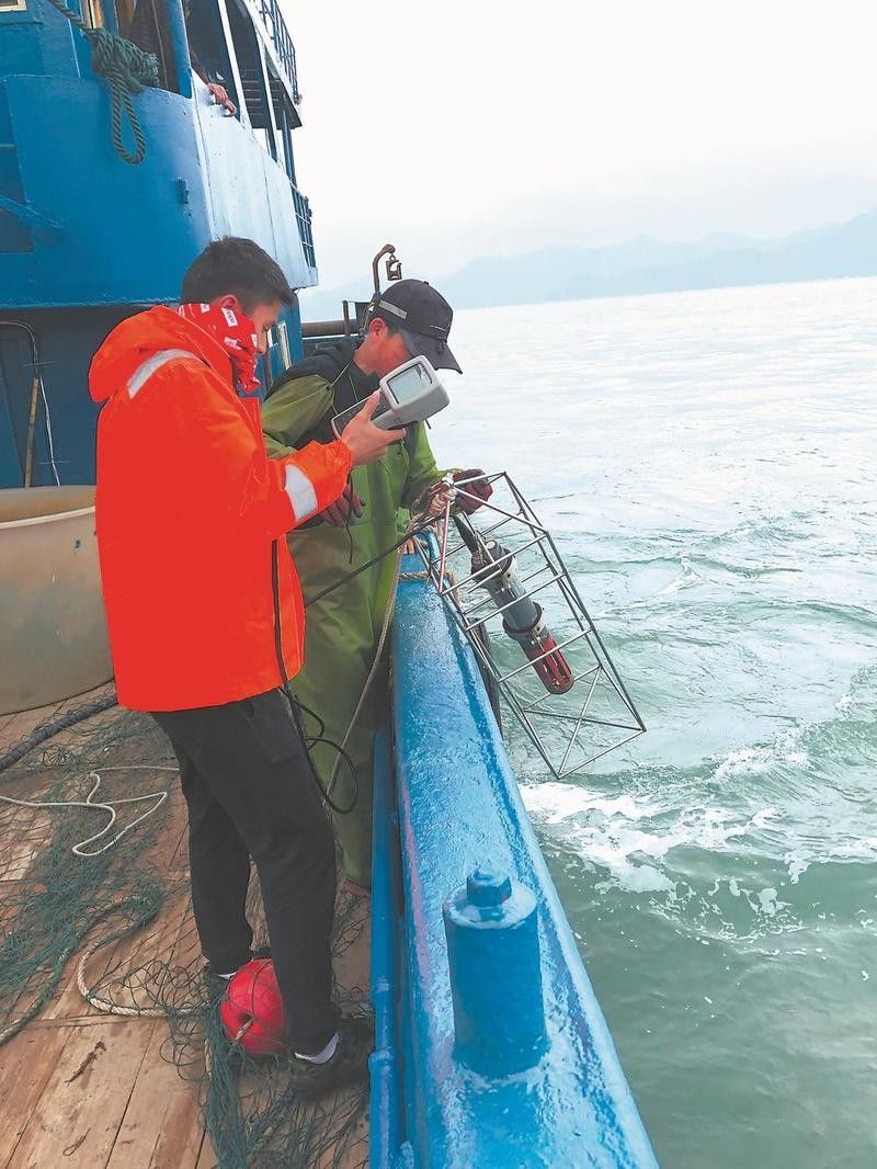 龍魚放野計(jì)劃對(duì)生態(tài)有何影響？（魚放野計(jì)劃對(duì)生態(tài)環(huán)境的影響）