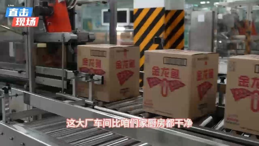鲅魚圈金龍魚累不累（金龍魚在鲅魚圈的工作強度如何？）