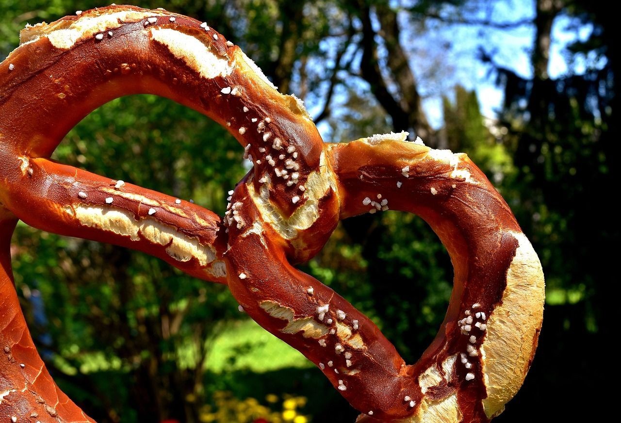 巴卡雷龍魚好養(yǎng)嗎怎么養(yǎng)活（雷龍魚好養(yǎng)嘛）（巴卡雷龍魚好養(yǎng)嗎怎么養(yǎng)活）