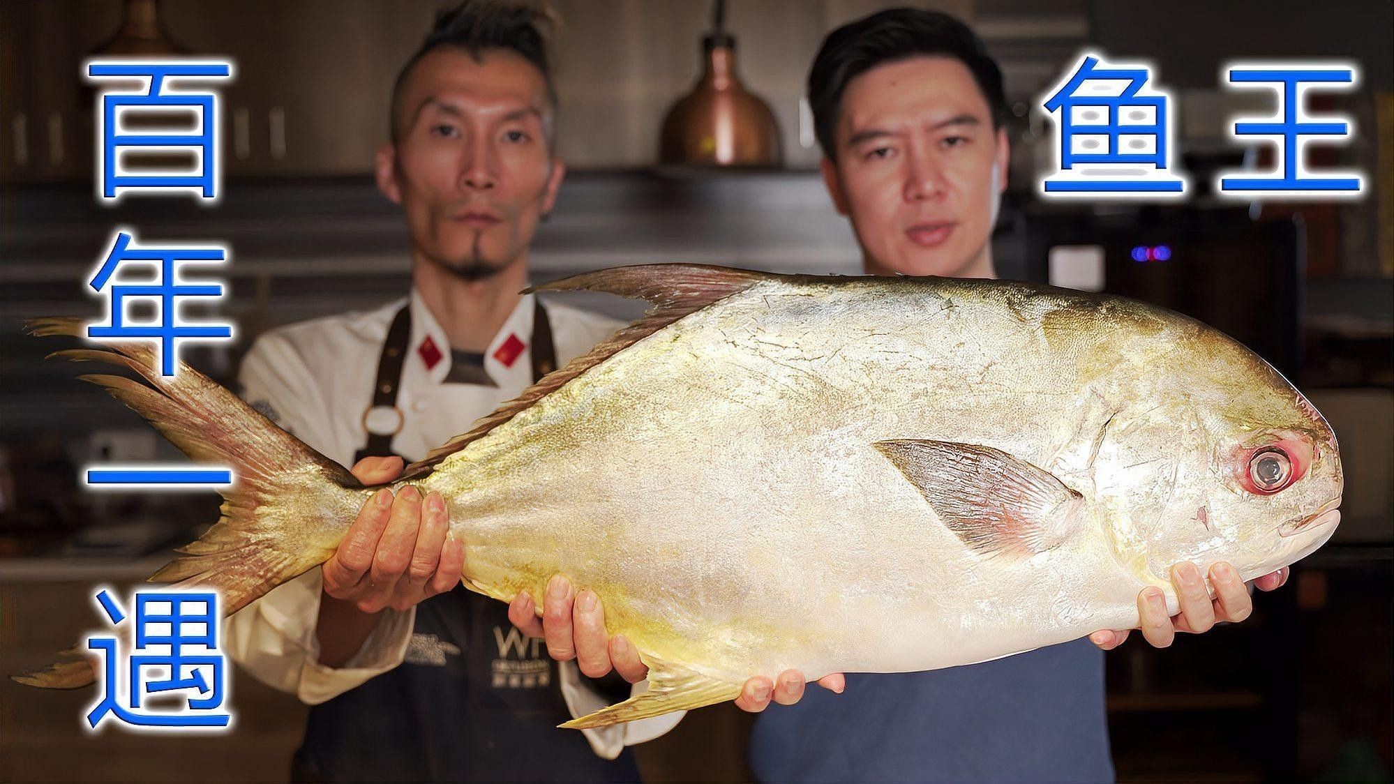 魚躍龍門在現代如何應用？（“魚躍龍門”在現代社會中的應用）