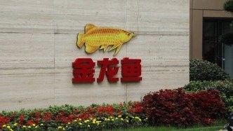 金龍魚股份有哪些重大新聞（金龍魚:控股股東限售期至2025年10月,減持計劃有變）