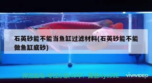 石英砂能不能當魚缸過濾材料(石英砂能不能做魚缸底砂)（石英砂能不能當魚缸過濾材料）