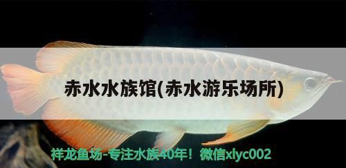 <strong><mark>赤水</mark></strong>水族館(<strong><mark>赤水</mark></strong>游樂場所)