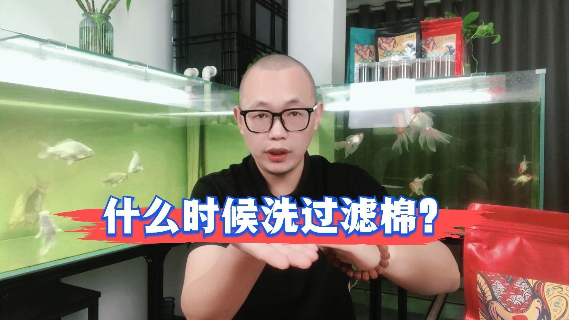 如何正確清洗物理過濾棉？