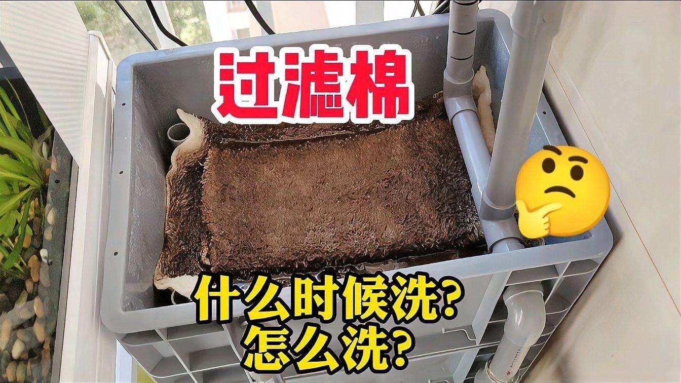 如何正確清洗物理過濾棉？