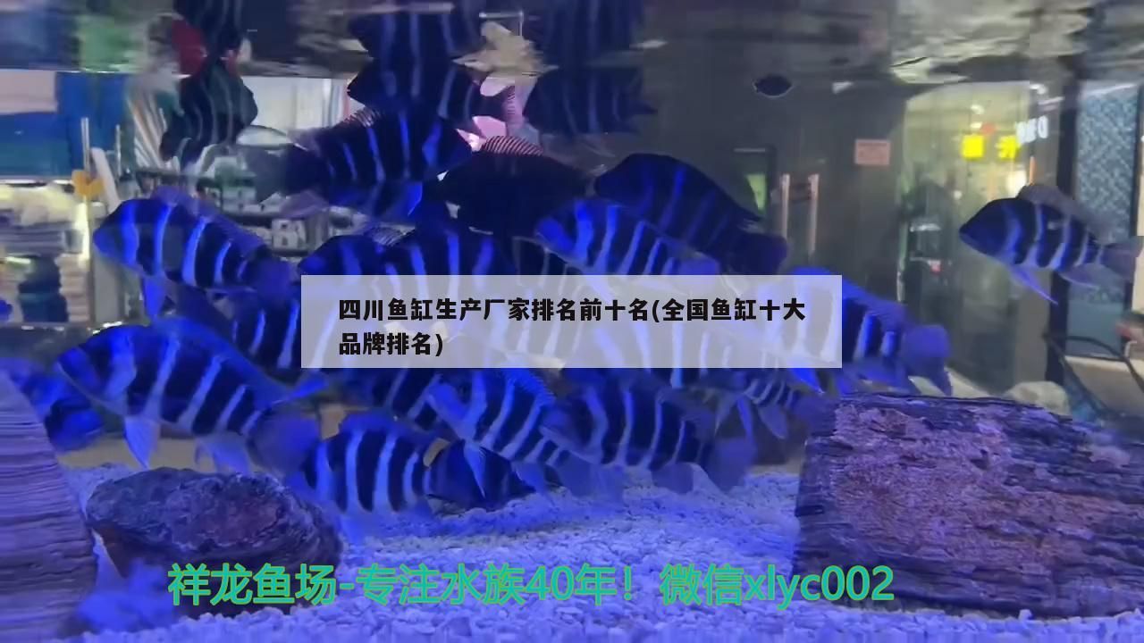 四川魚缸生產廠家排名前十名(全國魚缸十大品牌排名)
