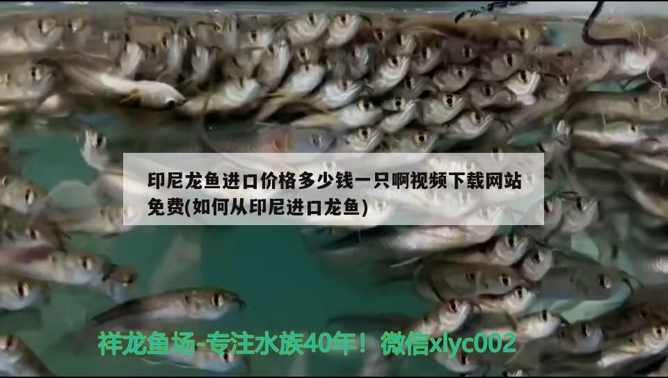 如何聯系金龍魚長沙分公司客服