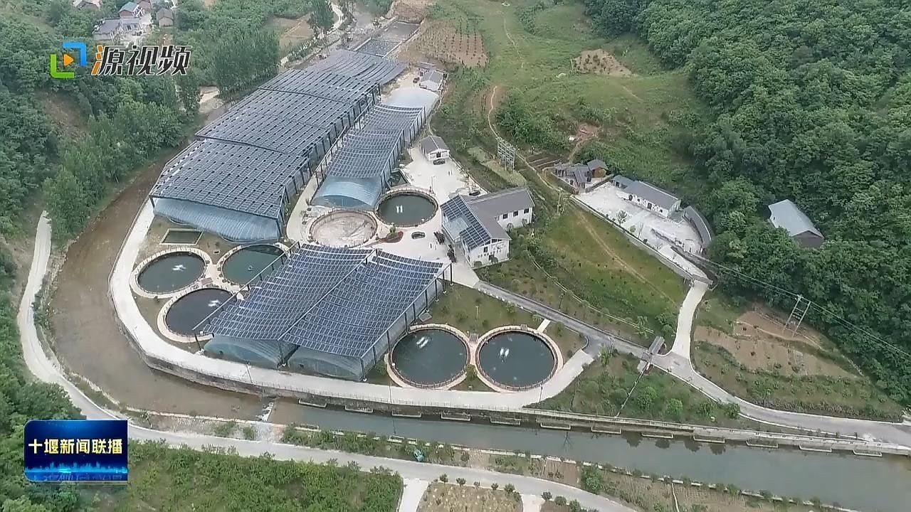 東莞市設施漁業(yè)補助政策有哪些？