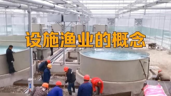 東莞市設施漁業(yè)補助政策有哪些？