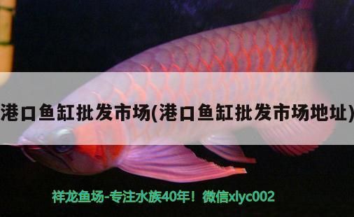港口魚缸批發市場(港口魚缸批發市場地址)