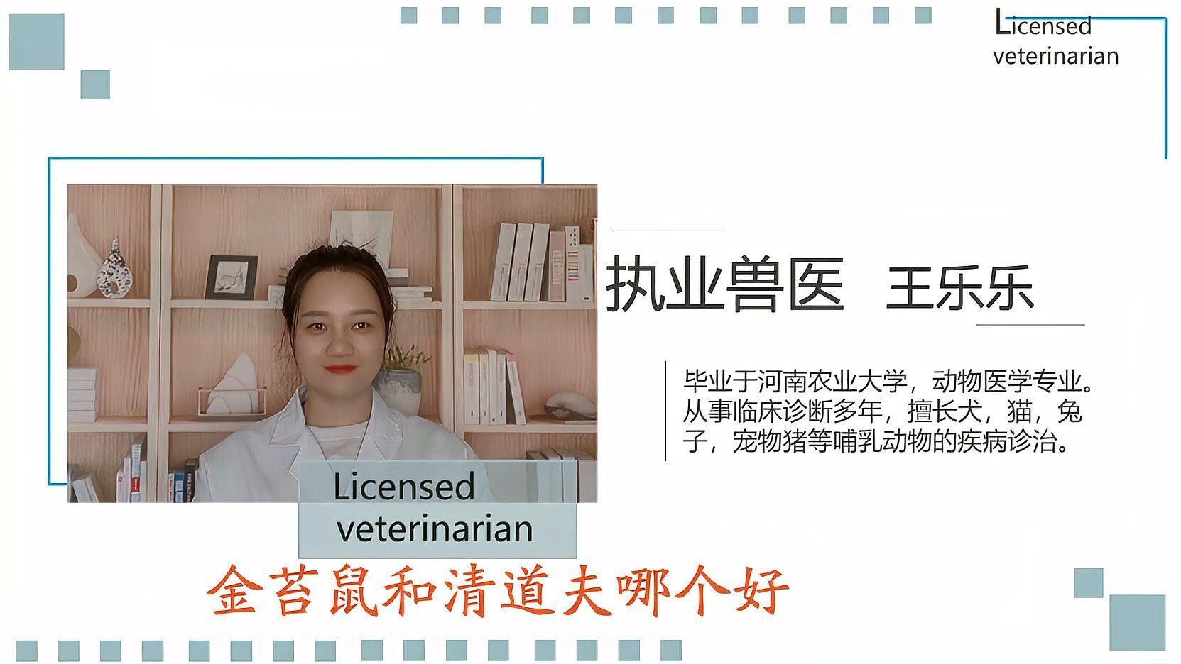 龍魚會消化金苔鼠嗎