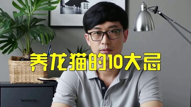 哪種貓最適合與龍貓共養？（哪種貓最適合與龍貓共養）