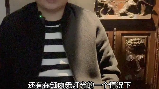有哪些知名的大龍魚視頻博主？