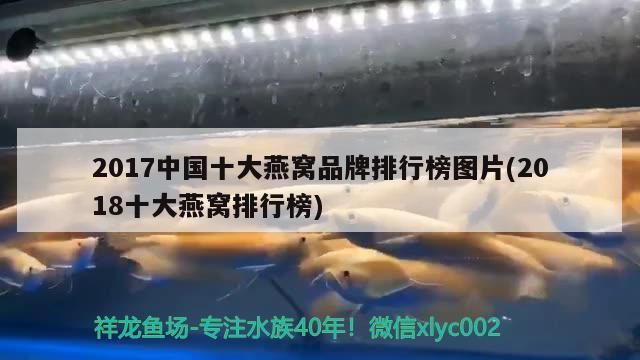 2017中國十大燕窩品牌排行榜圖片(2018十大燕窩排行榜)