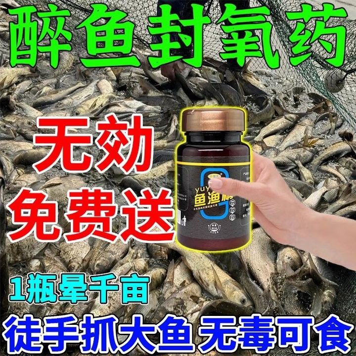 哪里可以購買到龍魚麻醉劑？