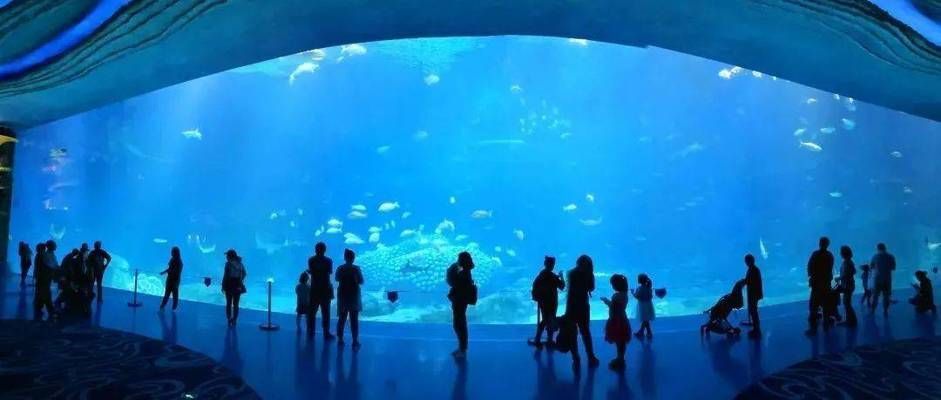 懷化水族館：懷化旅游攻略