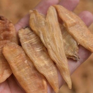 金龍魚(yú)花膠價(jià)格（金龍魚(yú)花膠的價(jià)格受到多種因素影響金龍魚(yú)花膠的價(jià)格）