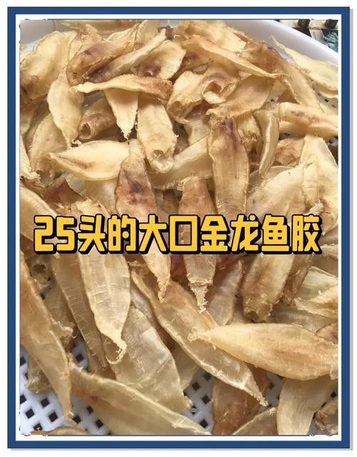 金龍魚(yú)花膠價(jià)格（金龍魚(yú)花膠的價(jià)格受到多種因素影響金龍魚(yú)花膠的價(jià)格）