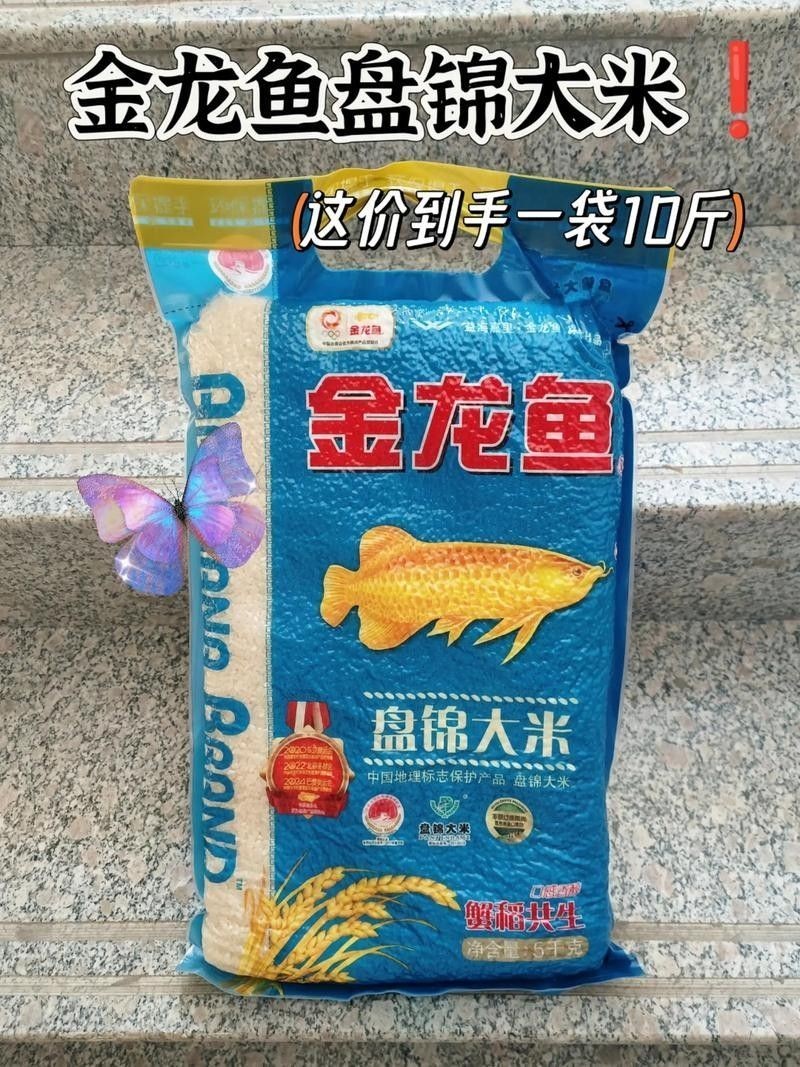 金龍魚米有哪些等級