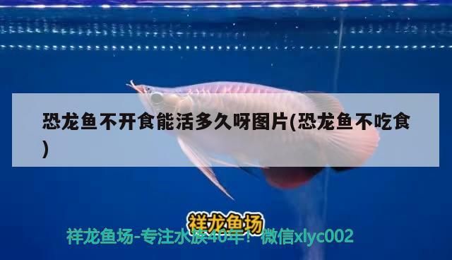 免費教你制作無氧機增氧效果剛剛的