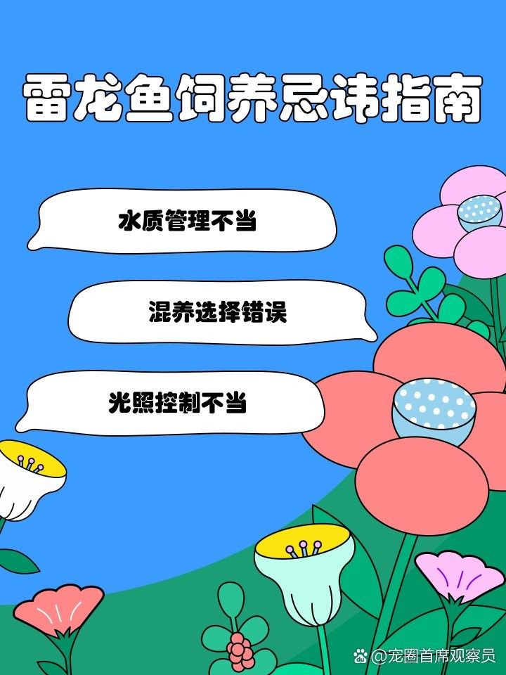 如何挑選健康的雷龍魚？（cici尋味記，雷龍魚怎么養寵物多多吖展開）