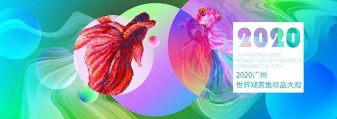 百藝城觀賞魚市場有哪些特色魚類